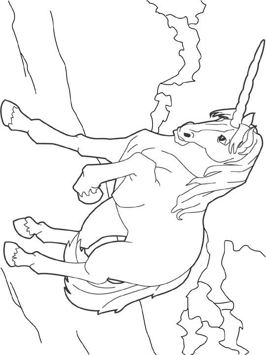 Jednorożec, pegaz kolorowanki